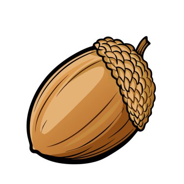 palamut vektör karikatür çizimi.