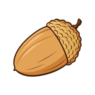 Meşe palamudu simgesi. Meşe palamudu vektör simgesi web için karikatür çizimi