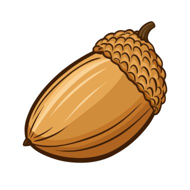 Yaprak izole edilmiş taze fındık