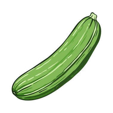 yeşil kabak sebze izole edilmiş ikon vektör illüstrasyon tasarımı