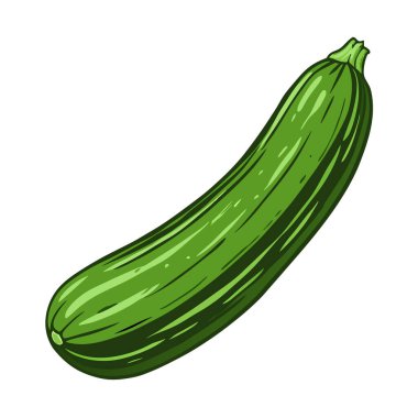 beyaz arkaplanda yeşil kabak sebzesi çizgi filmi