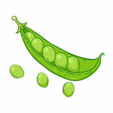 Olgun yeşil bezelyelerin vektör çizimi. sağlıklı yiyecekler.