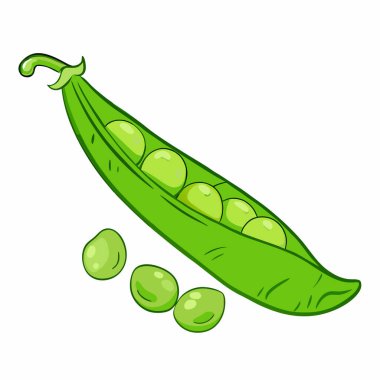 Yeşil bezelyelerin vektör çizimi