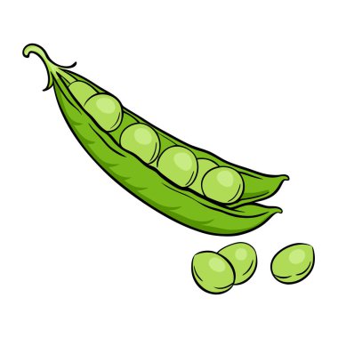 Yeşil fasulye, illüstrasyon, beyaz arka plan vektör.