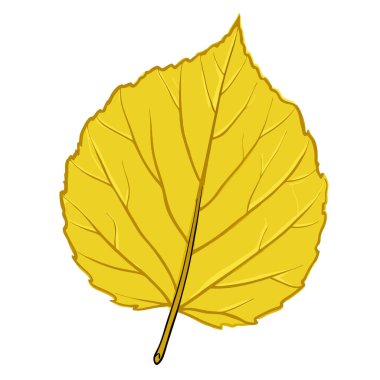 Beyaz arkaplanda izole edilmiş vektör yaprağı çizimi