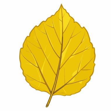 Sonbahar yaprağı, illüstrasyon, beyaz arkaplan üzerindeki vektör.