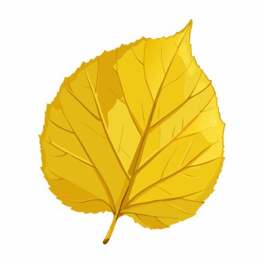 Yapraklı sonbahar yaprağı vektör resimleme tasarımı