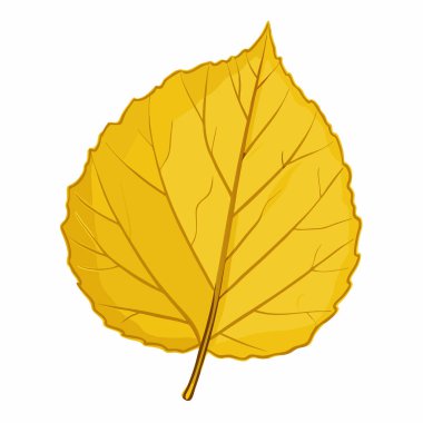 izole sonbahar yaprakları tasarımı