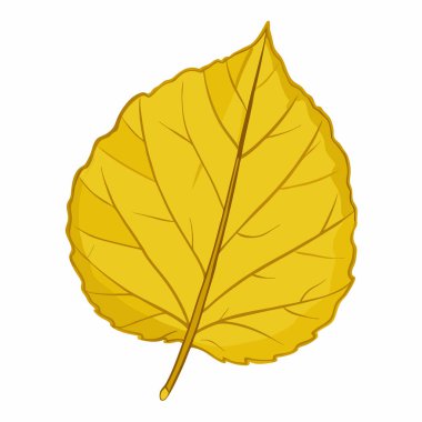 Sonbahar akçaağaç yaprağı simgesi
