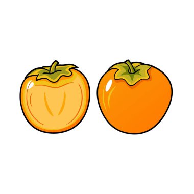 turuncu meyve, izole illüstrasyon vektörü.