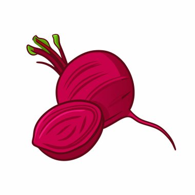 taze kırmızı pancar sebze çizgi film vektör çizimi tasarımı