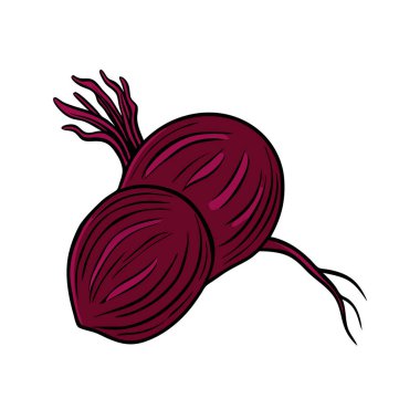 Pancar sebzesi sağlıklı beslenme vektör çizimi