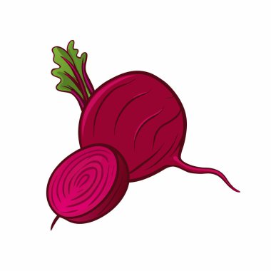 Turp taze sebzeler beyaz arka planda izole edilmiş.