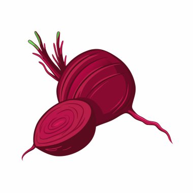 karikatür biçiminde turp simgesi izole edilmiş vektör çizimi.