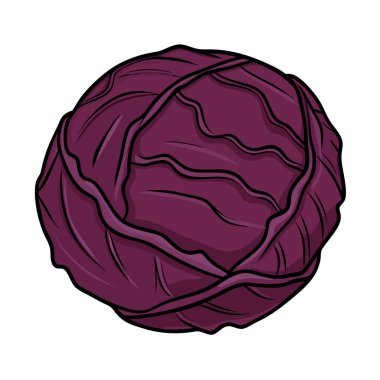 beyaz arkaplanda mor lahana.