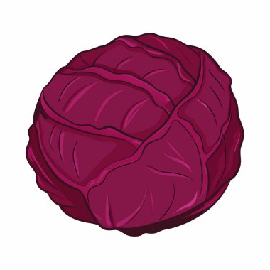 taze lahana izole edilmiş simge