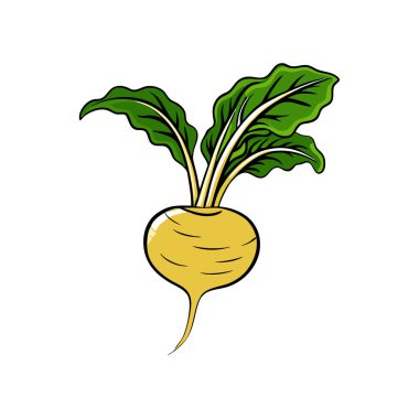 Beyaz arka planda yaprağı olan taze sarı soğan.