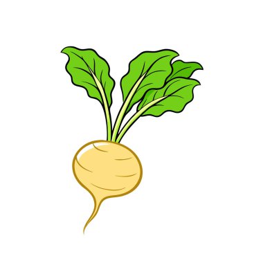 taze yeşil turp sebzesi izole edilmiş ikon