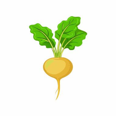 vektör karikatür tarzı taze lahana simgesi.