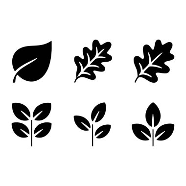 Beyaz arka planda altı siyah siluet yaprak koleksiyonu. İkonlar arasında merkezi damarı olan tek bir oval yaprak, lobed kenarlar ve görünür damarları olan iki meşe yaprağı ve her biri birden fazla yaprağı olan üç stilize bitki sapı yer alıyor..
