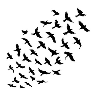 Çeşitli uçuşlarda siyah kuş siluetlerinden oluşan bir koleksiyon beyaz arka plana karşı duruyor. Kuşlar dışa doğru uzanan kanatlarla tasvir edilir, bazıları yukarı doğru açılıdır, diğerleri aşağı doğru hareket ve sürü halinde uçmayı işaret eder. Kompozisyon oluşturur