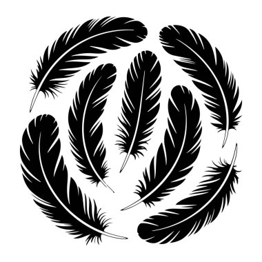 Siyah tüylerden oluşan bir kolleksiyon beyaz arka plana karşı dairesel bir şekilde düzenlenir. Tüyler boyut ve oryantasyon olarak farklılık gösterirken, bazıları içeriyi, bazıları dışarıyı gösterir. Her tüy merkezi bir tüy ve ayrıntılı dikenlerle betimlenir., 