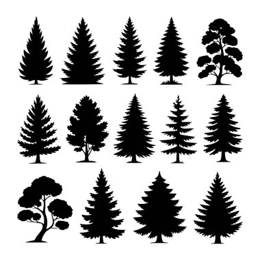 Beyaz arka planda çeşitli ağaçlardan oluşan siyah siluet koleksiyonu. Görüntü konik şekilli ve çam ya da köknara benzeyen katmanlı dallara sahip çoklu yemyeşil ağaçları içerir. Yaprak döken ağaçların siluetleri de var.