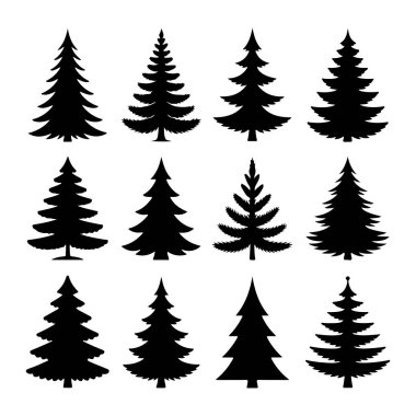 Çam ve köknar ağaçlarından oluşan on iki siyah siluet koleksiyonu beyaz arka planda sergilenmektedir. Ağaçlar şekil ve boyut olarak farklılık gösterirken, bazıları dolu, katmanlı dallara ve diğerleri daha ince ve konik görünür. Üçlü olarak düzenlendiler.