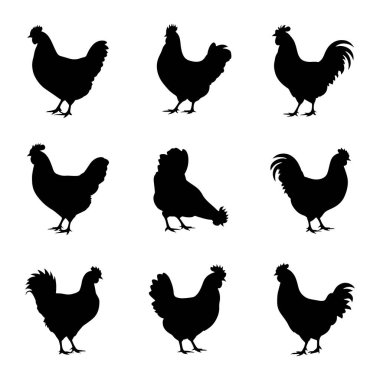 Bu resimde dokuz adet siyah tavuk ve horoz silueti var. Kuşlar ayakta durmak, yeri gagalamak ve kuyruklarını yaymak da dahil olmak üzere çeşitli pozlarda tasvir edilir. Siluetler temiz bir şekilde ayarlanmış. 