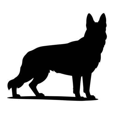 Bir Alman çoban köpeğinin katıksız siyah silueti temiz beyaz bir arkaplanda tasvir edilir. Köpek bir profil görünümünde, vücudu sola dönük duruyor. Kulakları dikleşir ve yukarı yönelir, bu da dikkati gösterir. Siluet...