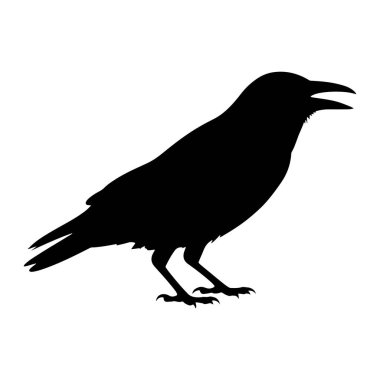 Bir karganın saf siyah silueti, temiz beyaz bir arkaplanda tasvir edilir. Kuş, pençeleri görünür bir şekilde bacaklarının üzerinde durarak profilden gösterilmektedir. Gagası açık, ses çıkardığını gösteriyor. Siluet açıkça kuşu tanımlıyor.