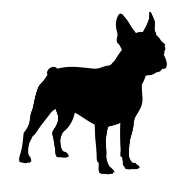 Katıksız siyah bir buldog silueti, tipik beyaz bir arka plana karşı profilde yer alırken resmedilir. Köpeğin karakteristik büyük, dik kulakları, kaslı bir yapısı ve kısa bir burnu vardır. Kuyruğu görünür durumda ve dört bacağı da yerinde duruyor.