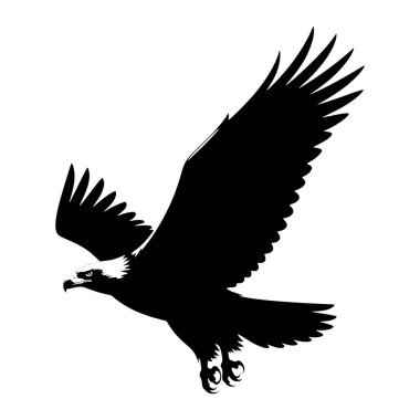 Uçuşun ortasında beyaz bir arka plana çarpan siyah bir kartal silueti. Kartalın kanatları genişçe açılır ve tüylerin detaylı yapısını gözler önüne serer. Kafası keskin bir gagayla sola dönük ve delici göz açıkça belirtilmiş.. 