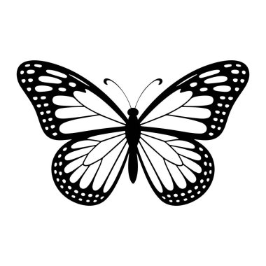 Kanatları tamamen açık bir kral kelebeğinin siyah beyaz çizimi. Kelebek, düz beyaz arka plana karşı tepeden tırnağa bir perspektiften resmedilir. Kanatlar, siyah damarlar ve beyaz damarlarla karakteristik monarşi modelini gösteriyor.