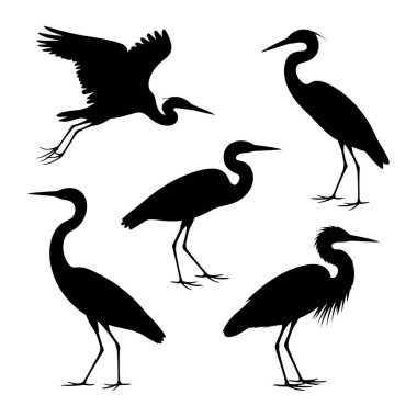 Beyaz arka planda beş siyah balıkçıl silueti koleksiyonu. Bir balıkçıl, uçuşun ortasında yakalanır. Kanatları genişçe açılır ve bacakları açılır. Başka bir balıkçıl da boynu S şeklinde kıvrılmış duruyor. Üçüncü balıkçıl ayakta durarak resmedilir.