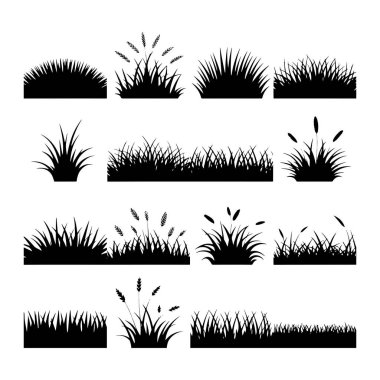 Bazılarında buğday sapı ve tırmık kuyruğu da dahil olmak üzere çeşitli çim türlerinden siyah siluet koleksiyonu beyaz bir arka plana dizilmiştir. Siluetler farklı çimen yoğunluklarını ve şekillerini tasvir eder, bazıları yuvarlak tepecikler oluşturur ve diğerleri ortaya çıkar. 