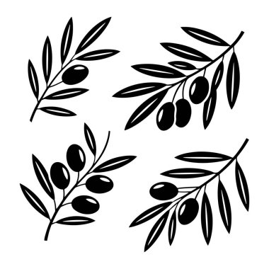 Beyaz arka planda zeytinli ve yapraklı dört adet siyah zeytin dalı düzenlenir. Her dalda birden fazla uzatılmış yaprak ve oval şekilli zeytin kümeleri bulunur. Kompozisyon temiz ve grafiksel, özellikle de... 