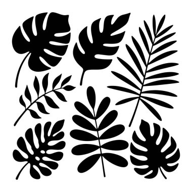 Beyaz arka planda çeşitli tropikal bitki yapraklarından oluşan siyah siluet koleksiyonu. Yapraklar, karakteristik çitlemenli canavar yaprakları ve birden fazla ince yapraklı palmiye yaprakları gibi farklı şekilleri içerir. Genel olarak. 
