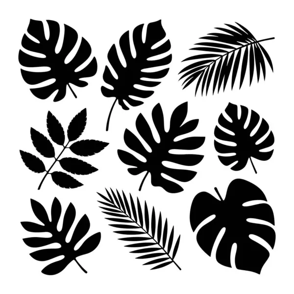 Beyaz arka planda çeşitli tropikal yaprakların siyah siluet çizimleri. Yapraklar arasında karakteristik çitleri olan birkaç canavar yaprağı, tüylü görünümlü palmiye yaprakları ve bir gübre filizi vardır.