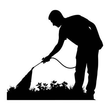 Yandan siyah bir siluet gösteriliyor, bir sıra bitkiyi hortumla spreylemek için eğiliyor. Kişi tişört ve pantolon giyiyor, ve elleri hortumun hortumunu tutuyor, bitkilere doğru püskürtüyor. Bitki.