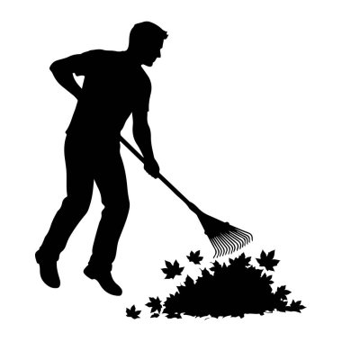 Bir adamın siyah silueti sonbahar yapraklarını tırmıklarken resmedilir. O bir tişört ve pantolon giyiyor, ve eğilmiş, bir tırmıkla düşmüş yaprakları topluyor. Birkaç yaprak ana yığının etrafına saçılmış durumda. Arkaplan lütfen.