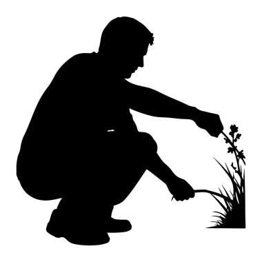 Narin yaprakları ve ince sapı olan küçük bir bitkiye bakmak için çömelmiş siyah bir siluet. Bitkinin etrafında çimen yaprakları görülebilir. Arka plan beyaz, figür ve bitki örtüsünü vurgulayan katıksız bir kontrast oluşturuyor. Th