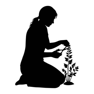 Diz çöküp makasla küçük bir bitkiyi yapraklar ve dallarla budamak isteyen bir kişinin siyah silüeti. Kişinin saçı geri çekilir ve işine odaklanır. Bitki küçük bir tümseğe kök salmış..