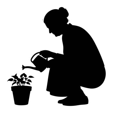 Küçük bir saksı bitkisini sulamak için çömelmiş siyah bir siluet. Kişi elinde bir su kovası tutuyor ve bitkinin yapraklarının üzerine su döküyor. Bitkinin birkaç yeşil yaprağı var ve koyu bir tencerede. Arkaplan beyaz.