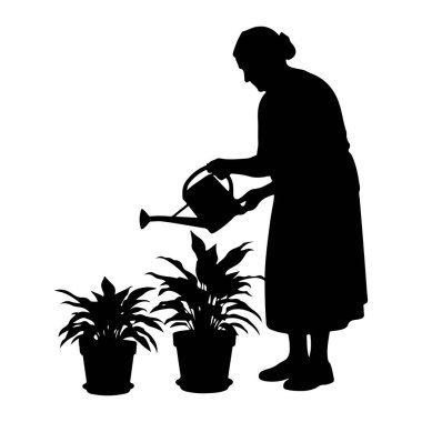 İki saksı bitkisini sulayan bir kadının siyah silueti. Kadın elbise giyiyor ve saçları arkaya bağlanmış. Elinde bir su bidonu tutuyor ve saksılara su döküyor. Bitkilerin büyük yapraklı yaprakları var. Arkaplan beyaz.