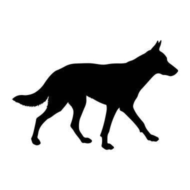 Bir köpek silueti, sağa dönük olarak profille tasvir edilir. Hayvan hareket halinde, ön sağ bacağı öne doğru ve arka sol bacağı da arkaya doğru uzanıyor. Kuyruğu hafifçe yükselir ve çalıdır. Siluet doğru.