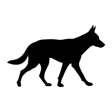Bir köpek hayvanının siyah silueti profille tasvir edilir, soldan sağa doğru yürür. Hayvanın sivri kulakları, ince bir vücudu ve gür bir kuyruğu var. Bacakları hareket ediyor, sabit bir yürüyüş izlenimi veriyor. Arka plan bembeyaz, S 'yi vurguluyor.
