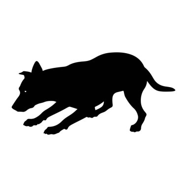 Siyah bir köpek silueti, ön bacakları açık ve pençeleri yere uzanmış, alçak ve çömelmiş bir pozisyonda tasvir edilir. Bu da saldırmaya ya da oynamaya hazır olduğunu gösterir. Köpeğin vücudu zayıftır ve kulakları öne eğilmiştir. Bu da dikkati ve odaklanmayı gösterir.