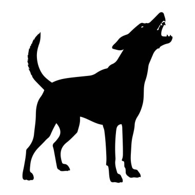Beyaz arka planda duran siyah bir köpek silueti. Köpeğin ağzı sanki havlar ya da havlar gibi sonuna kadar açılır, dişleri ortaya çıkar. Kuyruğu kalkık ve kıvrımlı, kulakları öne dönük. Siluet katıksız siyah bir şekildir.