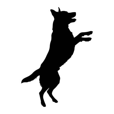 Siyah bir köpek silueti, beyaz bir arka plana atlarken görüntülenir. Köpek arka ayakları üzerinde, ön pençeleri yukarıya doğru uzanmış, sanki bir şeye uzanıyormuş gibi. Ağzı açık ve kulakları canlanmış. Heyecan verici.